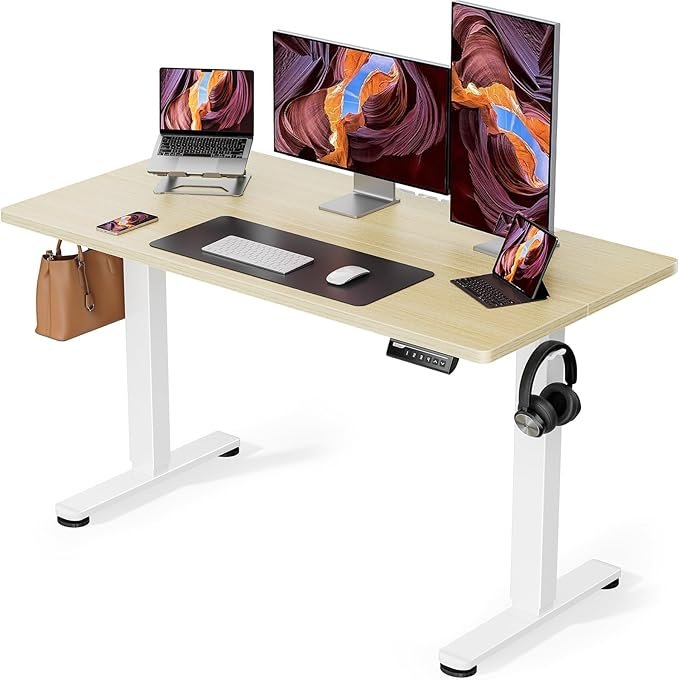 ErGear Electric Standing Desk